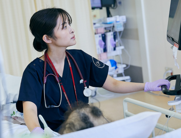 救命ICU部門 ドクター